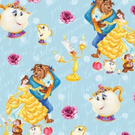 Princess Children's Fabric