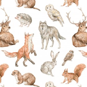 Tissus animaux