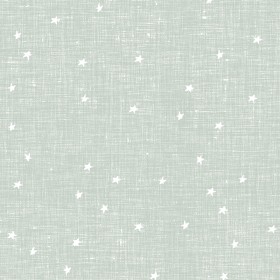 Mint Stars Fabric