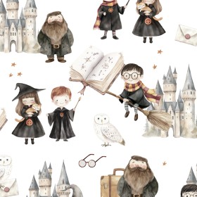 Tissu Harry Wizard's School